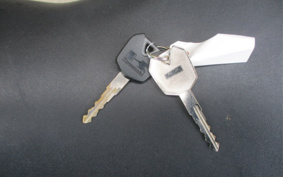 KAWASAKI Ninja 250SL BX250A