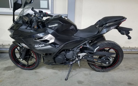 KAWASAKI NINJA 250 EX250P