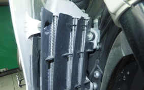 YAMAHA WR250X DG15J