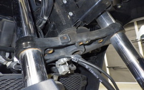 SUZUKI Vｽﾄﾛｰﾑ250A 2009
