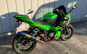 KAWASAKI NINJA 250 EX250P