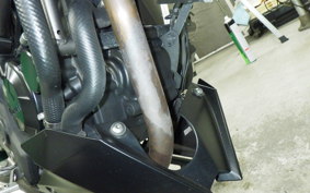 KAWASAKI Z250 SL 2021 BR250E