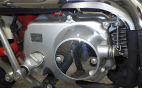 HONDA MONKEY 2022 AB27