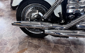 HARLEY FXDI 35th 2005 GW1