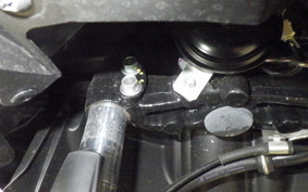 YAMAHA CYGNUSｸﾞﾘﾌｧｽ 2012 SEJ4J