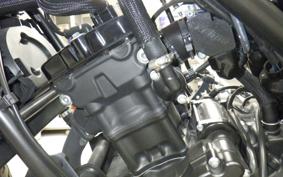 HONDA REBEL 250 S 1999 MC49