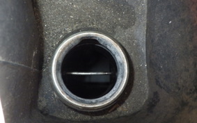 YAMAHA MAXAM 250 SG17J