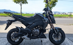 KAWASAKI Z125 PRO BR125H