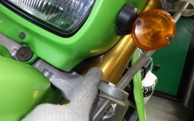 KAWASAKI KLX250 LX250E