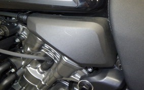 HARLEY ﾊﾟﾝ AMERICA1250S 2021
