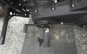 HARLEY FXLRST1920 2025