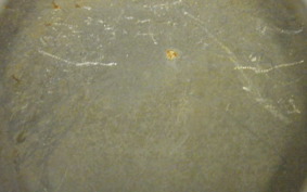 SUZUKI SV400S 1999 VK53A