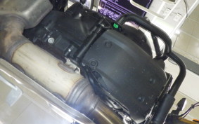 TRIUMPH SPEED400 2024