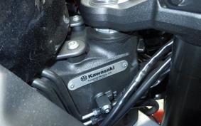 KAWASAKI NINJA 1000SX 2024 ZXT02K