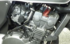 HONDA HORNET 250 MC31