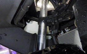 KAWASAKI NINJA 250 2023 EX250L