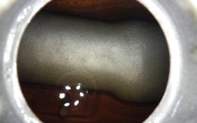 HONDA GORILLA 2016 Z50J