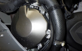 KAWASAKI NINJA ZX-6R A 2021 ZX636G