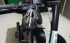 HARLEY FXBB1750 2020
