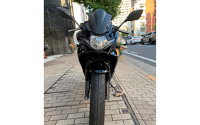SUZUKI GSX250 R DN11A