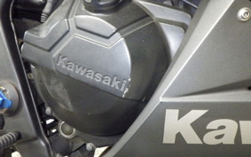 KAWASAKI NINJA 250 2026 EX250L