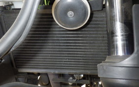 KAWASAKI NINJA 250 SL