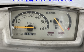YAMAHA MINT