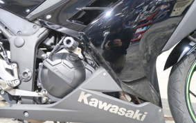 KAWASAKI NINJA 250 EX250L