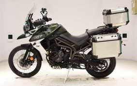 TRIUMPH TIGER 800 2019
