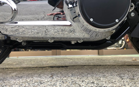 HARLEY FLSB 2021 YMJ