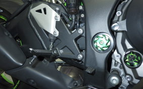 KAWASAKI ZX 10 NINJA ABS 2018