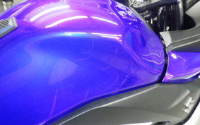 SUZUKI GSX-R250