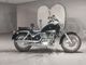Фото Suzuki INTRUDER 250 с японского аукциона