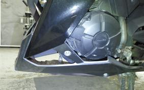 KAWASAKI Z250 A 2021 ER250C
