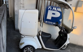 OTHER BLAZE EV SCOOTER