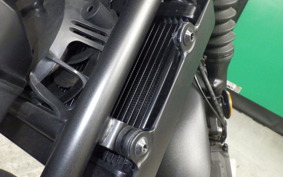 HONDA REBEL 250 S 2020 MC49