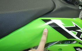 KAWASAKI KLX230R 2024 LX230E