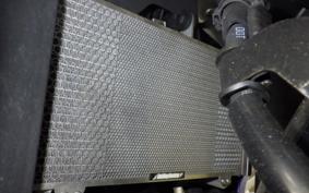 YAMAHA YZF-R25 2012 RG43J