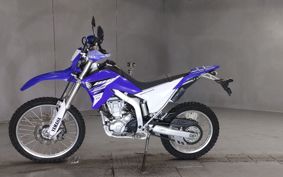 YAMAHA WR250R DG15J