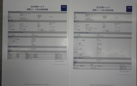 YAMAHA YZF-R25 A 2011 RG43J