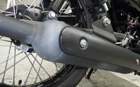 KAWASAKI W175 SE