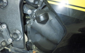 KAWASAKI NINJA 250R 2022 EX250K