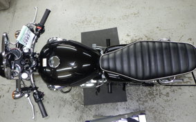 KAWASAKI W800 2025 EJ800E