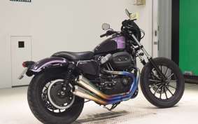 OTHER +HD. XL1200X 2010