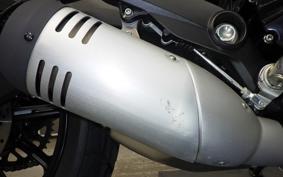 DUCATI SCRAMBLER ICON 2019