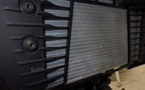 YAMAHA MT-25 A RG74J