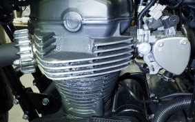 KAWASAKI W800 2011 EJ800A