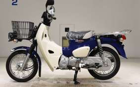 HONDA C110 SUPER CUB 2009 JA42