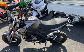 KAWASAKI Z125 PRO BR125H