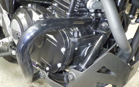 SUZUKI Vｽﾄﾛｰﾑ250A 2025